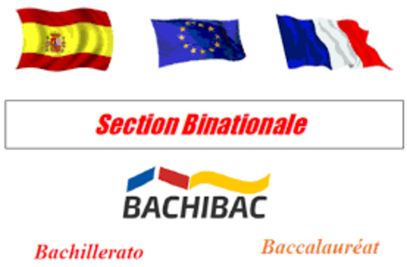 bachibac.png